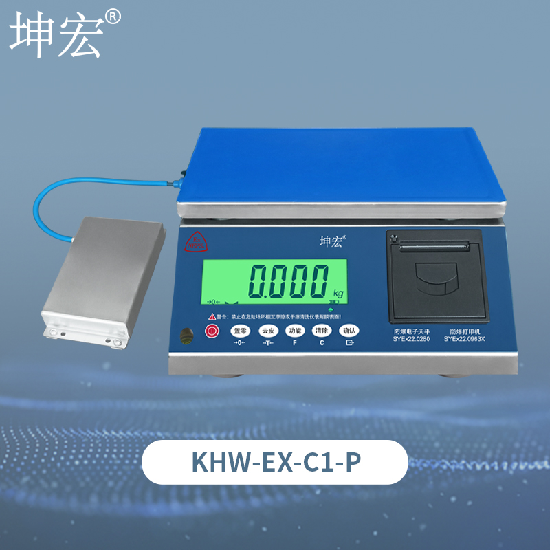 KHW-EX-C1-P防爆打印电子天平